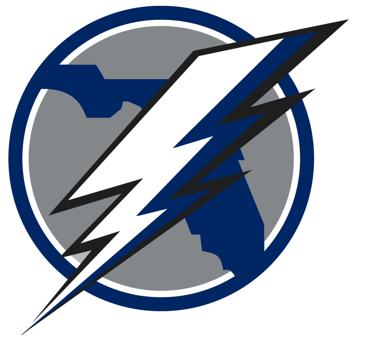 Tampa Bay Lightning 2008 Unused Logo DIY iron on transfer (heat transfer)